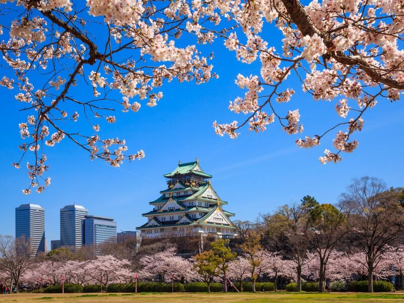 Japonya Turu Kampanya Miat HY