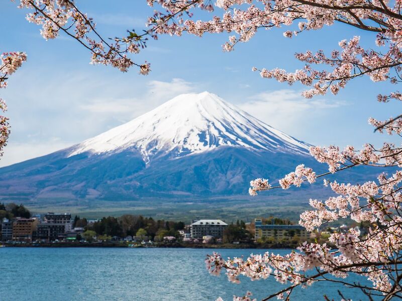 Japonya Turu Kampanya Miat HY