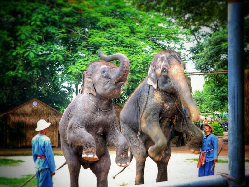 VIETNAM KAMBOÇYA LAOS -TAYLAND TURU-GF