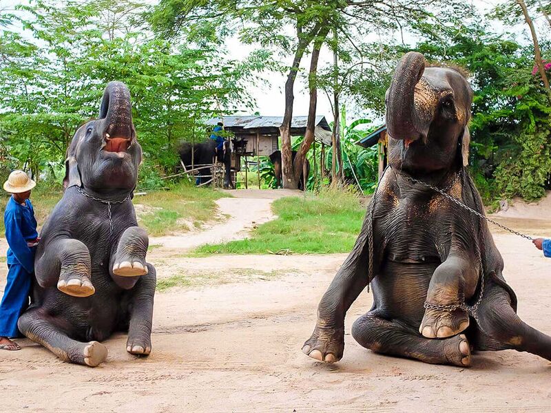 VIETNAM KAMBOÇYA LAOS -TAYLAND TURU-GF