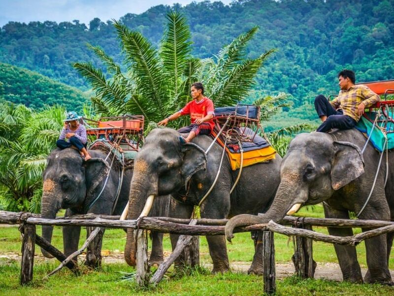 ELEGANT PHUKET TURU