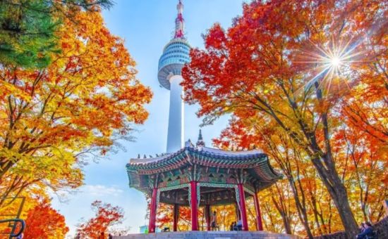 Grand Japonya Kore Turu NRT-ICN THY 27101