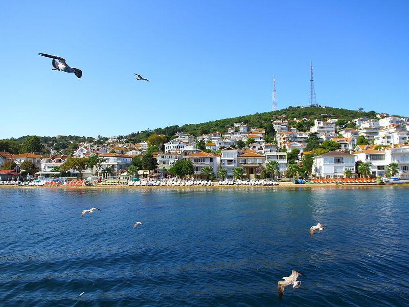 KURBAN BAYRAMI ÖZEL  İSTANBUL ADALAR SARAYLAR ŞİLE AĞVA TURU